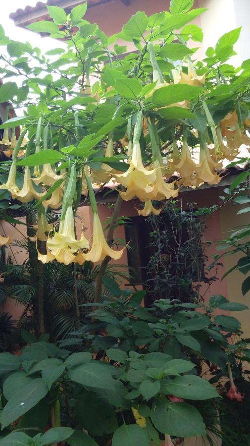 Eco Pousada Jardim Do Eden Alto Paraíso de Goiás Exterior foto