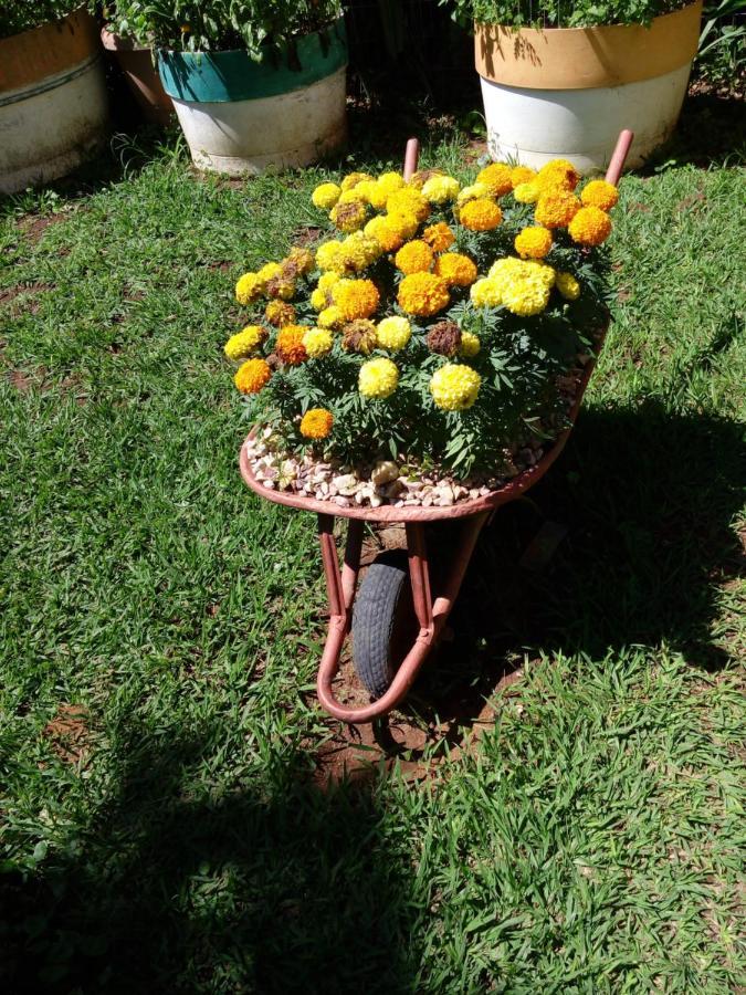Eco Pousada Jardim Do Eden Alto Paraíso de Goiás Exterior foto