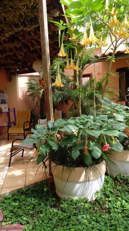 Eco Pousada Jardim Do Eden Alto Paraíso de Goiás Exterior foto